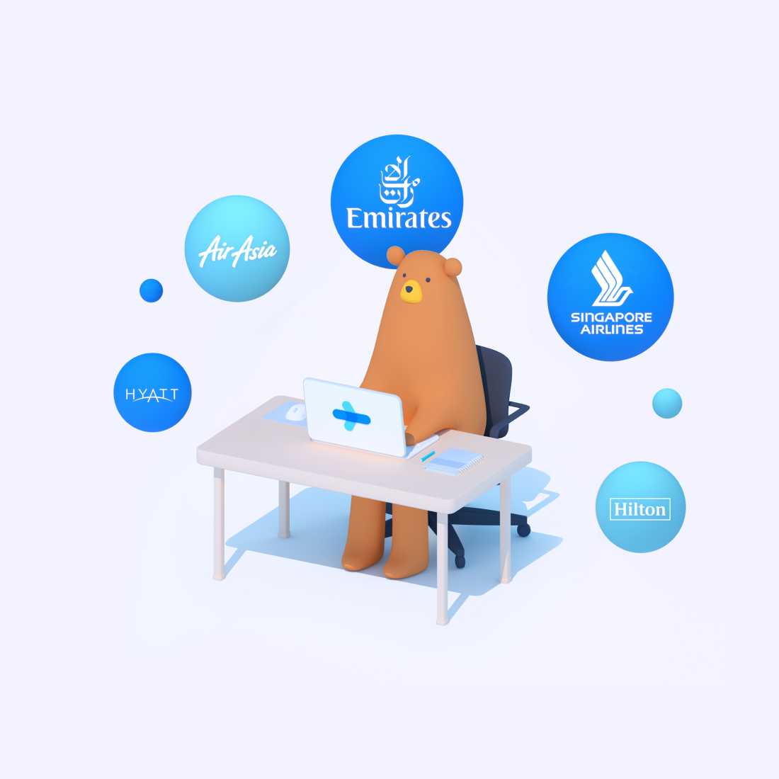 Bear searching for flights